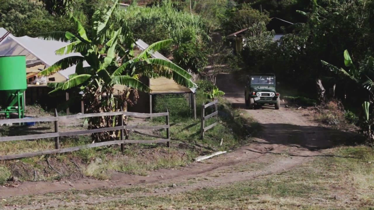 The road into the farm