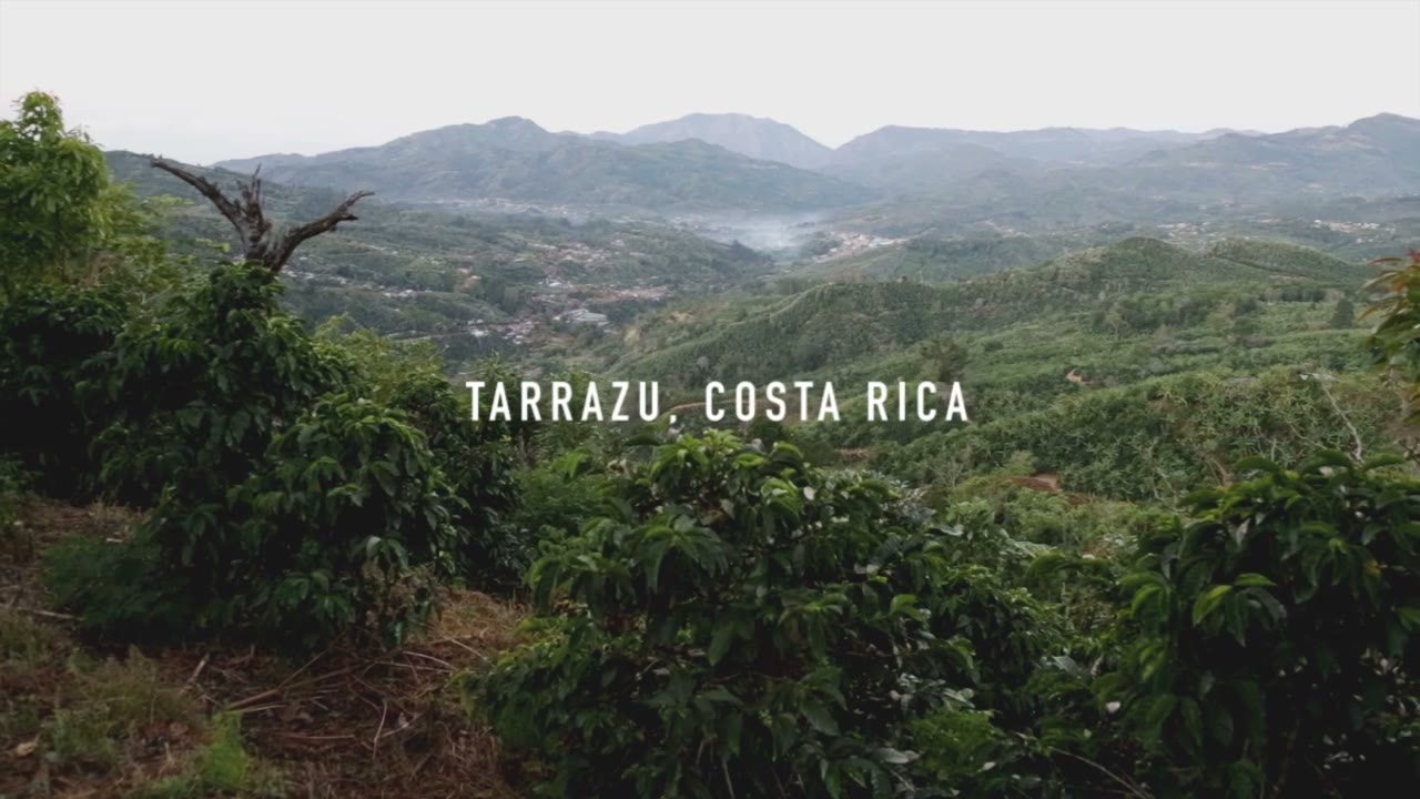 The valleys of Tarrazú