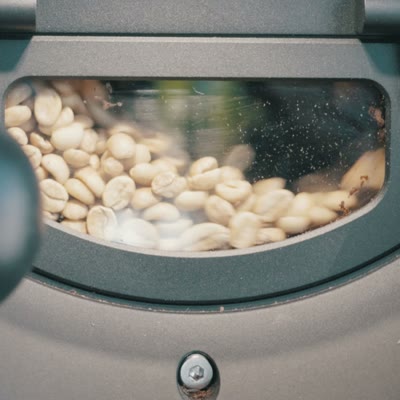 Flown north, roasted in Naples