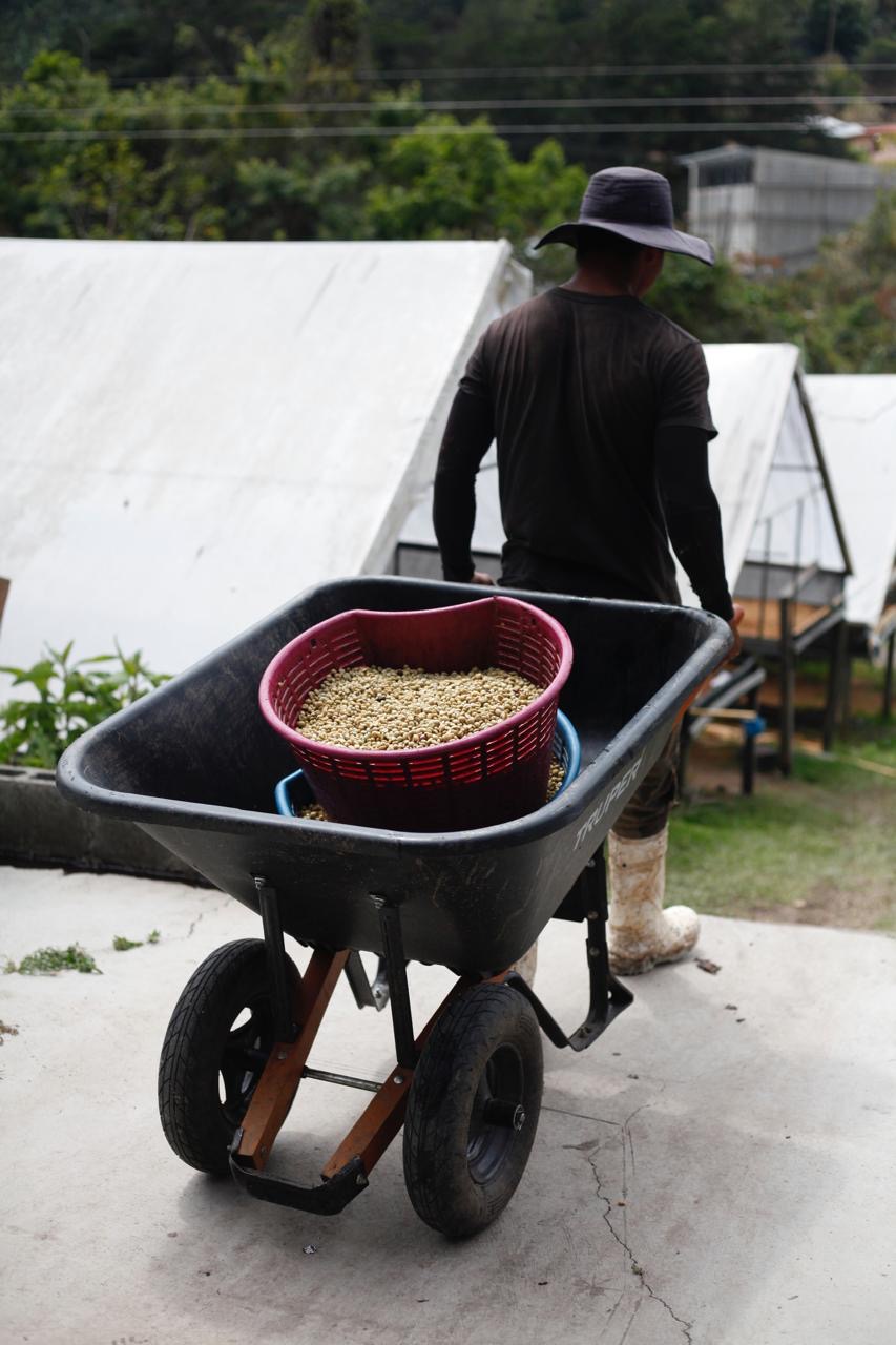 Moving the harvest